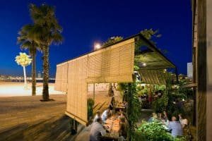 Gallito Terraza at Night
