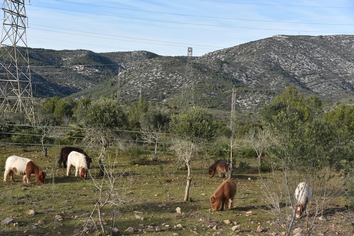 Parc del Garraf
