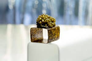 Enigma, Cubo de caviar