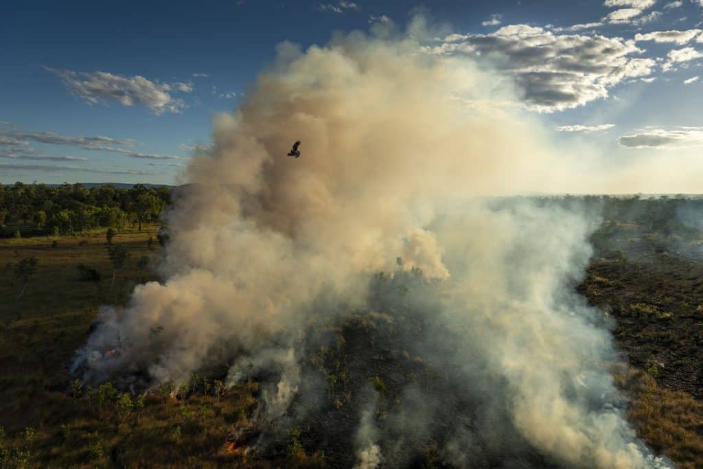 World Press Photo Story of the Year: Saving Forests with Fire by Matthew Abbott for National Geographic/Panos Pictures World Press Photo Story of the Year: Saving Forests with Fire by Matthew Abbott for National Geographic/Panos Pictures