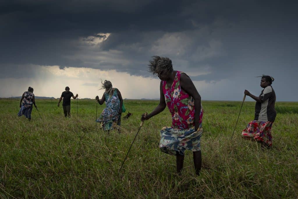World Press Photo Story of the Year: Saving Forests with Fire by Matthew Abbott for National Geographic/Panos Pictures World Press Photo Story of the Year: Saving Forests with Fire by Matthew Abbott for National Geographic/Panos Pictures