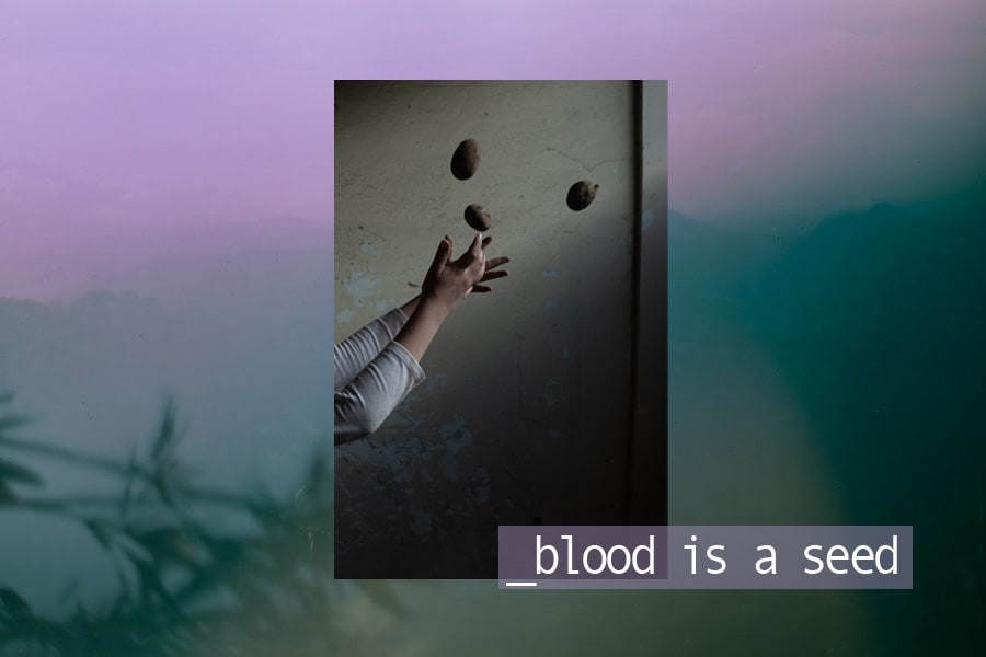 World Press Photo Open Format Award: Blood is a Seed by Isadora Romero (Ecuador) World Press Photo Open Format Award: Blood is a Seed by Isadora Romero (Ecuador)