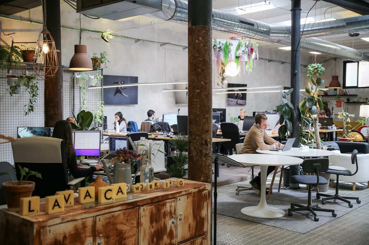 La Vaca Coworking La Vaca Coworking