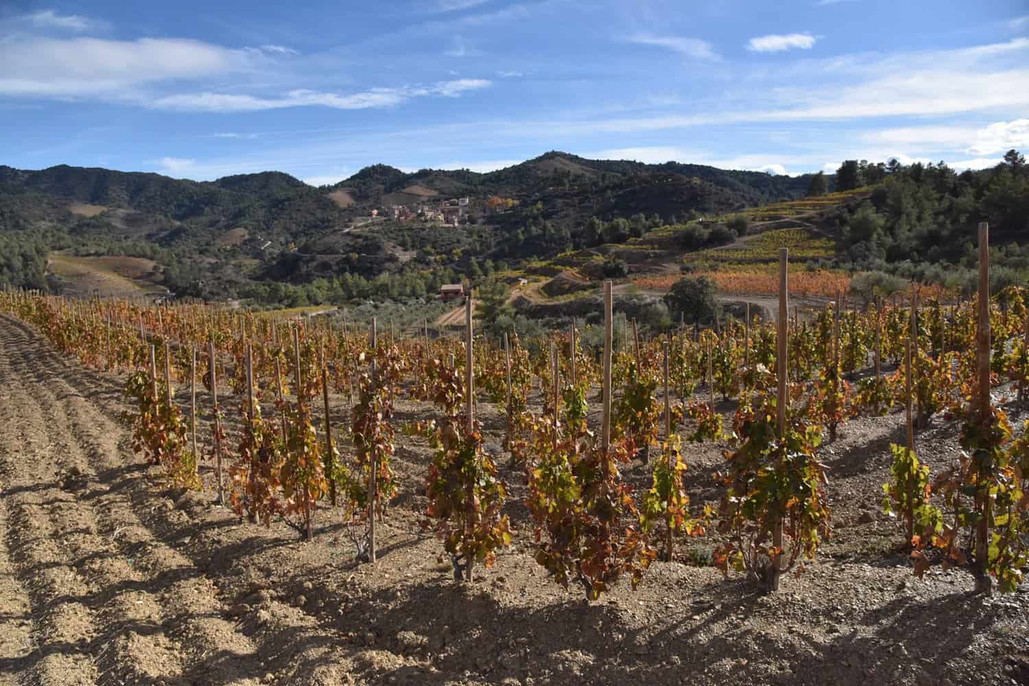 Priorat Countryside near Torroja del Priorat