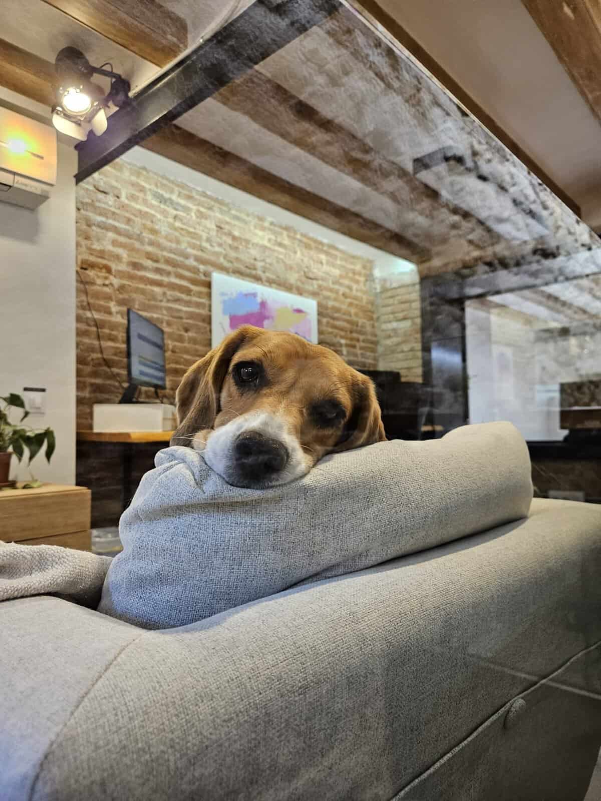 Loft 153 Coworking 5 Loft 153 Coworking