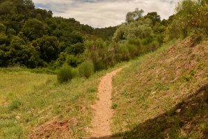 GR 96 Trail Collserola