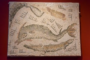 Roman Mosaic depicting a dolphin II - III AD
